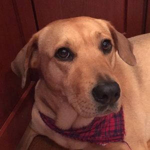 Meet your Posher, Carole